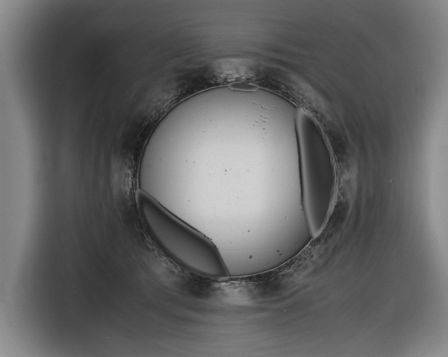X0000116460417200912161236