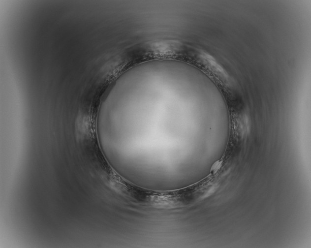 X0000116460419200912161236