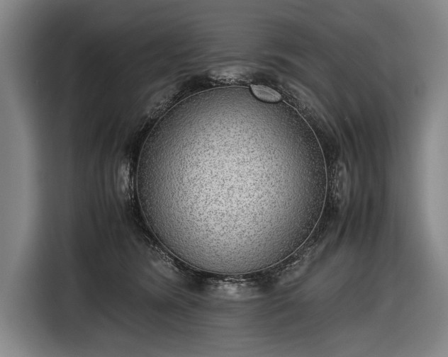 X0000116460420200912161236