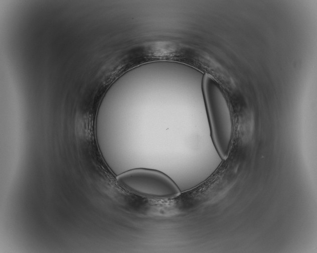 X0000116460421200912161236