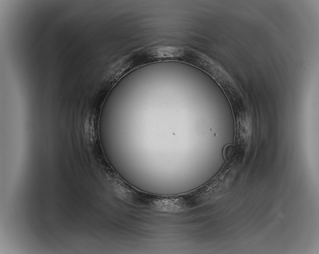 X0000116460422200912161236