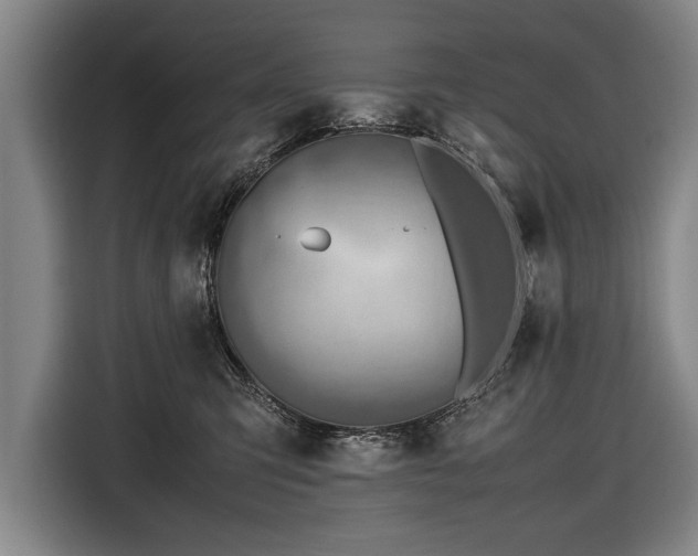 X0000116460423200912161236