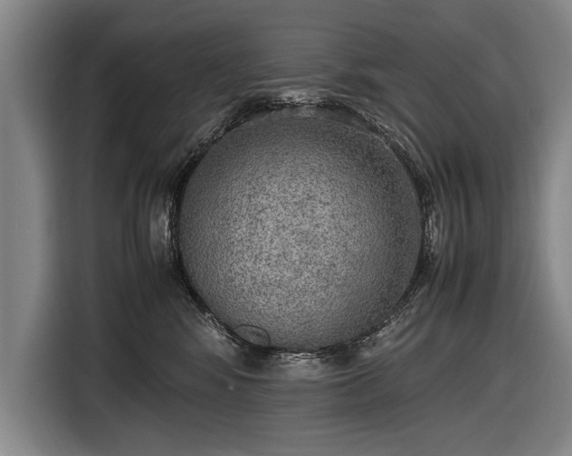 X0000116460424200912161236