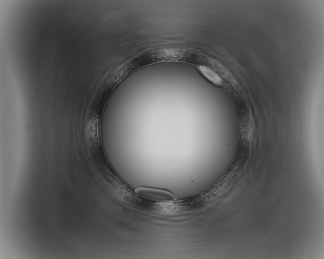 X0000116460425200912161236