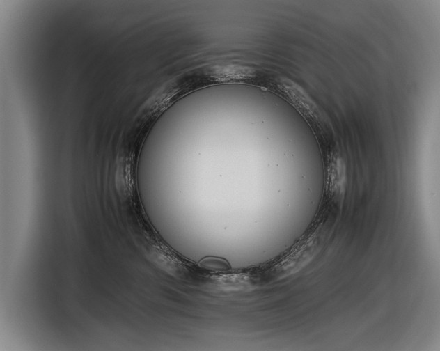 X0000116460426200912161236