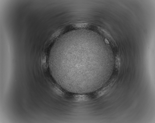 X0000116460428200912161236