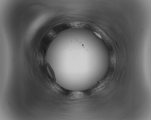 X0000116460429200912161236