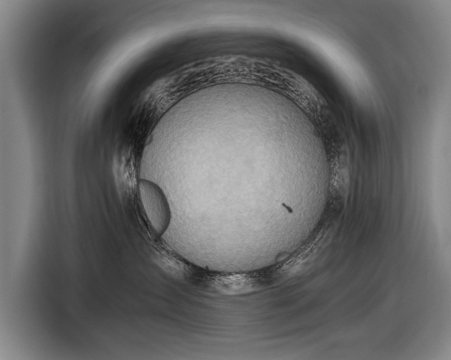 X0000116460431200912161236