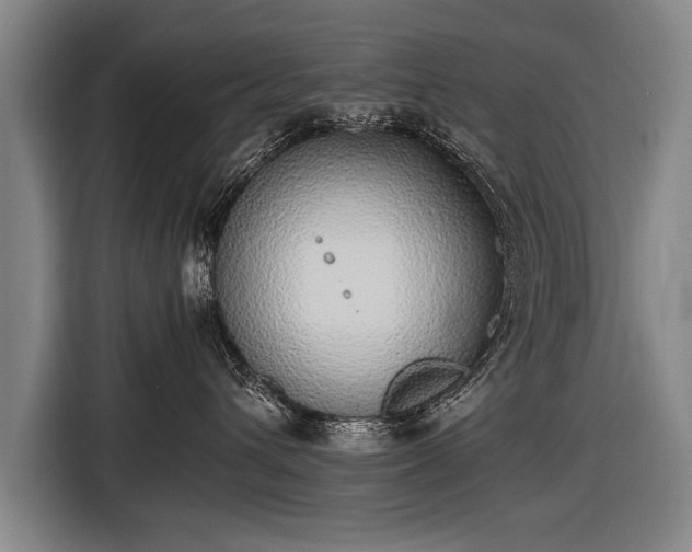 X0000116460432200912161236