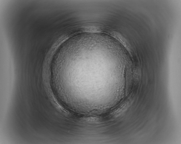 X0000116460433200912161235