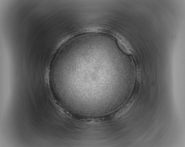 X0000116460434200912161235