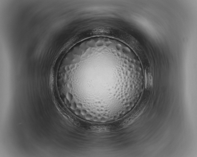 X0000116460435200912161235