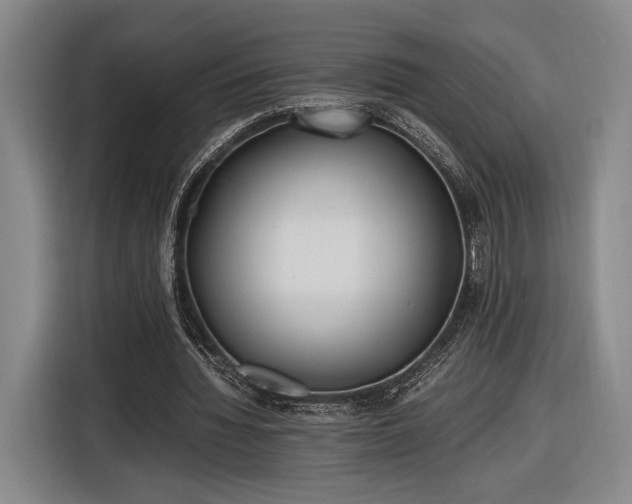 X0000116460436200912161235