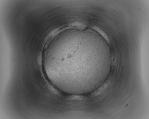 X0000116460437200912161235