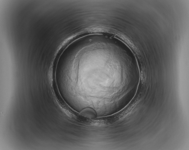 X0000116460438200912161235