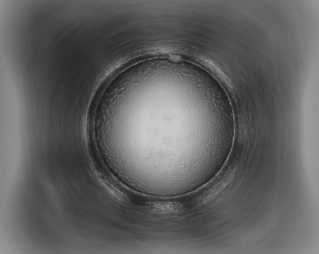 X0000116460439200912161235