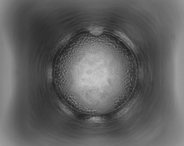 X0000116460441200912161235