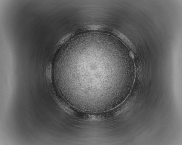 X0000116460442200912161235