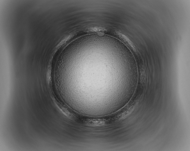 X0000116460443200912161235