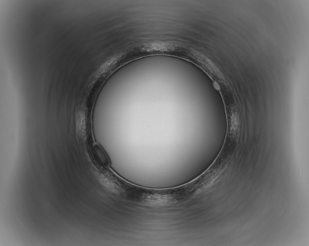 X0000116460444200912161235