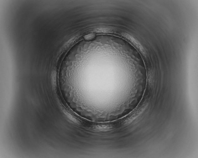 X0000116460445200912161235