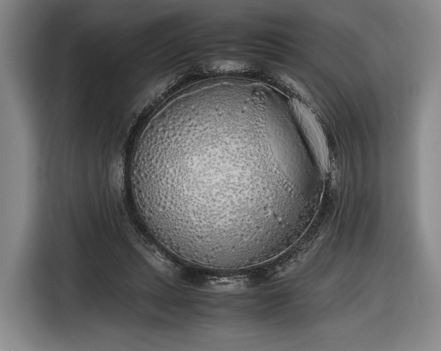 X0000116460447200912161235