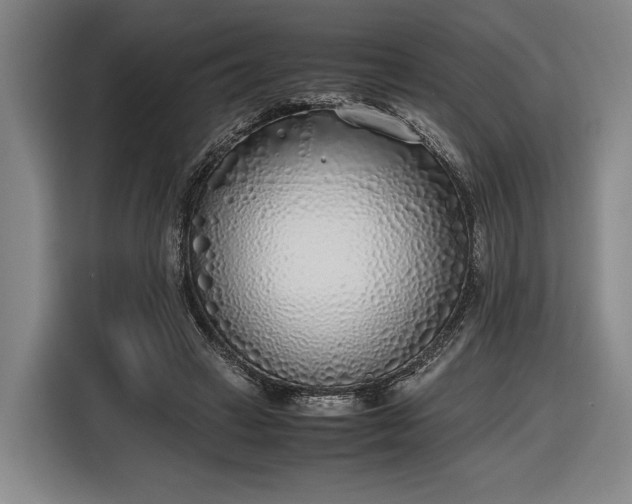 X0000116460449200912161235