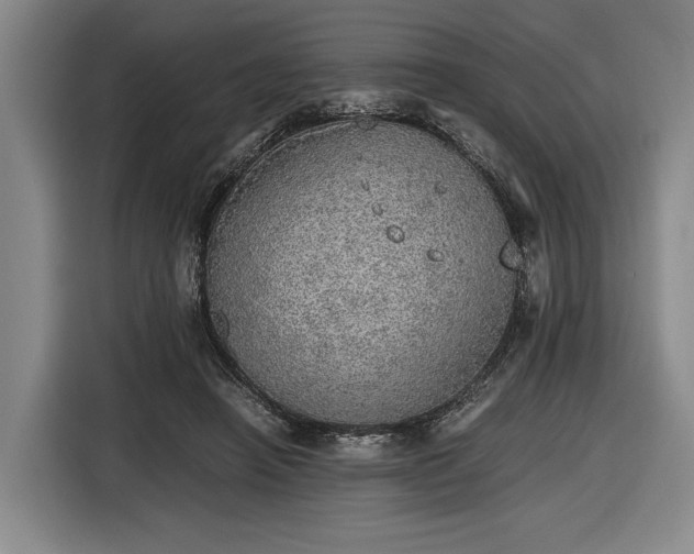 X0000116460450200912161235