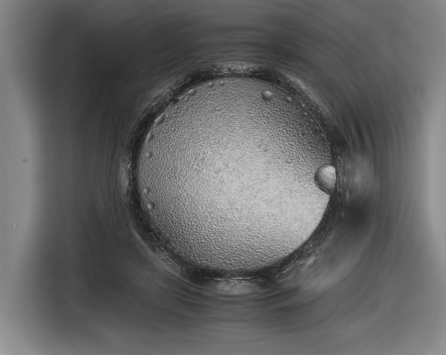 X0000116460451200912161235