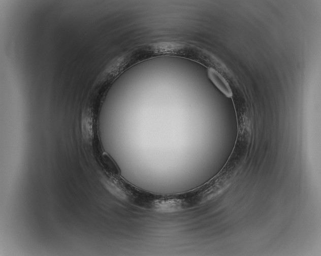 X0000116460452200912161235