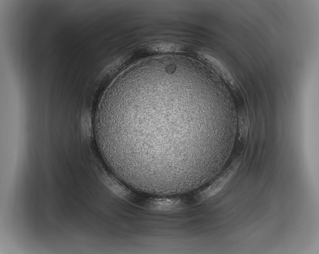 X0000116460453200912161235
