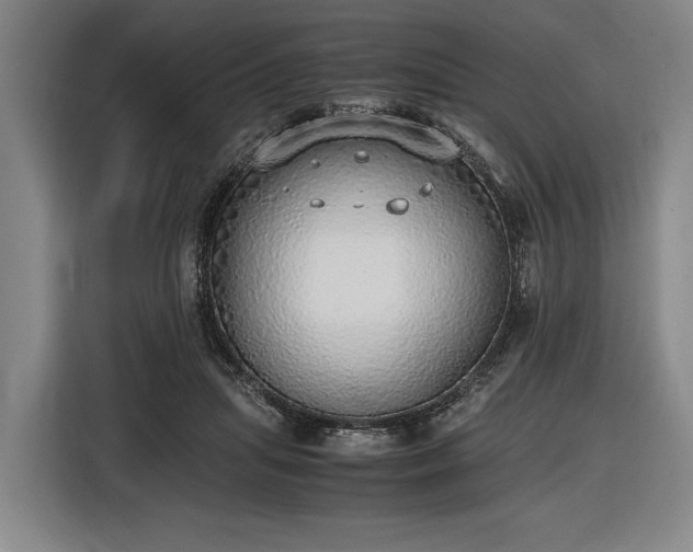 X0000116460455200912161235