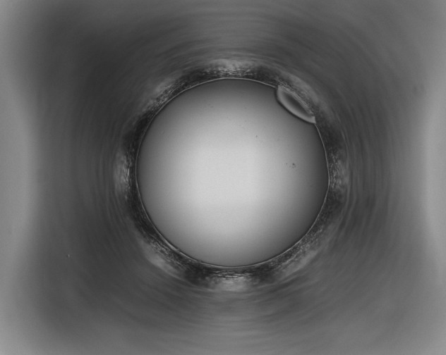 X0000116460456200912161235
