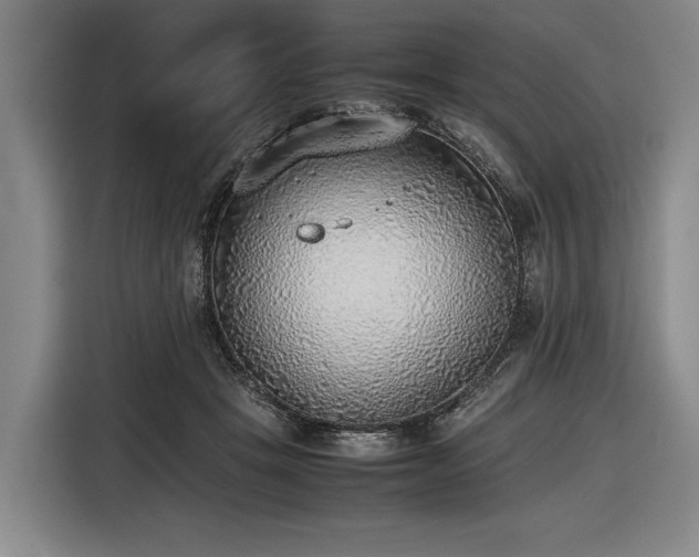 X0000116460457200912161235