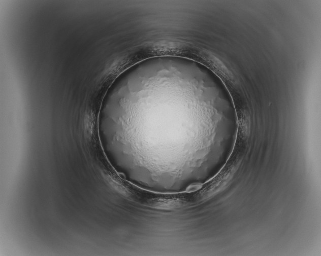 X0000116460458200912161235