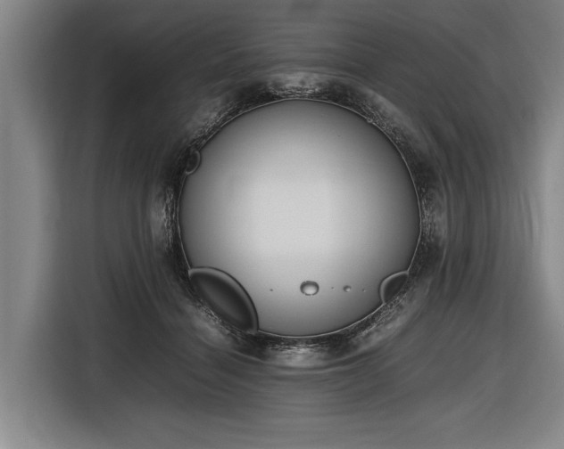 X0000116460460200912161235