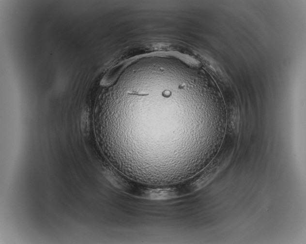 X0000116460461200912161235