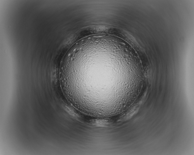 X0000116460462200912161235