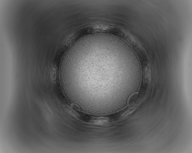 X0000116460463200912161235