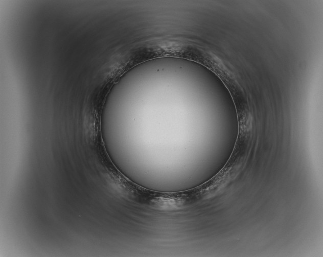 X0000116460464200912161235