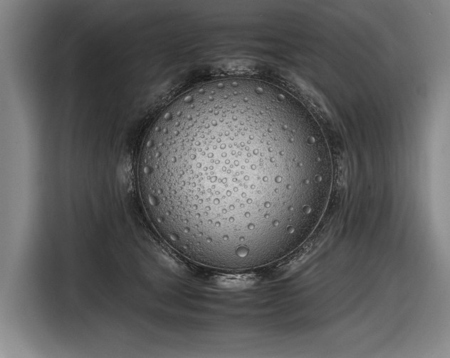 X0000116460465200912161235