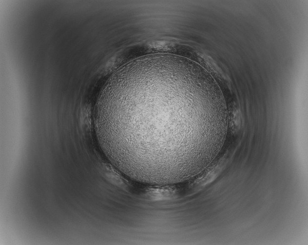 X0000116460466200912161235