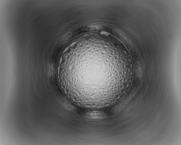 X0000116460467200912161236