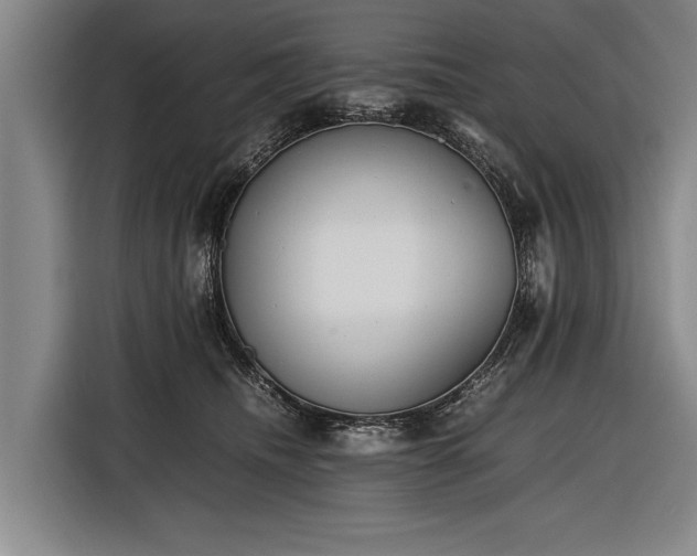 X0000116460468200912161236