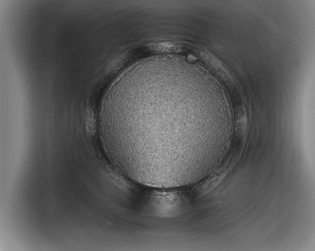 X0000116460469200912161236