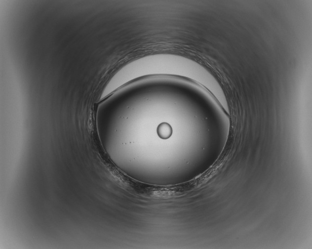X0000116460470200912161236