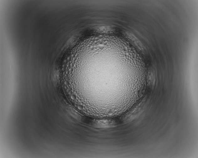 X0000116460473200912161236