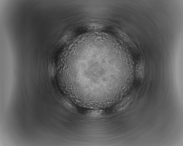 X0000116460474200912161236