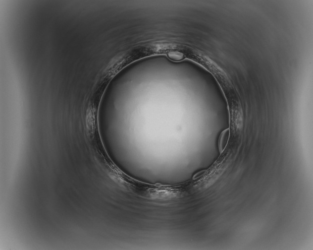 X0000116460475200912161236