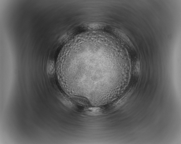 X0000116460478200912161236